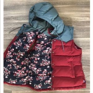 Patagonia Bivy Vest Mushroom Print